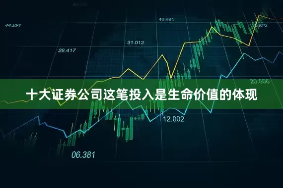 十大证券公司这笔投入是生命价值的体现