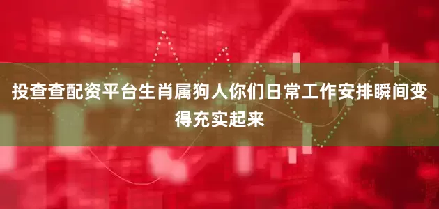 投查查配资平台生肖属狗人你们日常工作安排瞬间变得充实起来